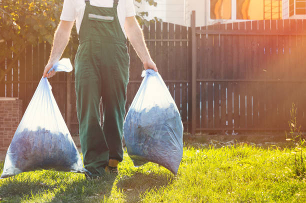 Best Dumpster Rental Services  in Wheeling, WV